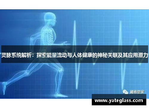 灵脉系统解析：探索能量流动与人体健康的神秘关联及其应用潜力